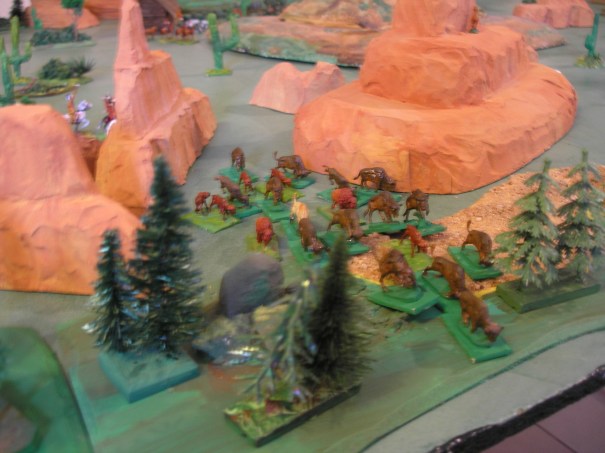 Chassé par des braconniers, le bison blanc quitte la zone siuvi de son troupeau