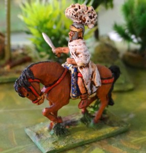 Ma première : le plumet afin de bien reconnaître mon général "regard en coin" sur le terrain. Pas grand chose mais fin 70 je découvrais le "miliput" Pardon madame disait Claude !