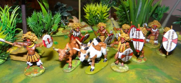 En premier des" waziris" poussant leur bétail.