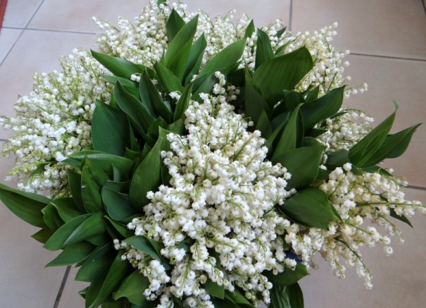 La production de mon jardin. 