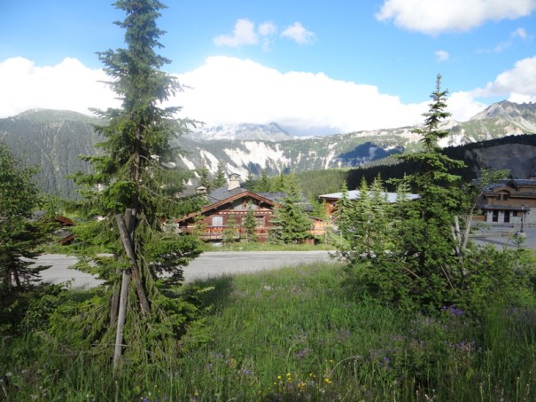 Courchevel  ( au fait le nom vient de l'herbe coupante et du veau ou de la vache attaquée par l'ours ?)