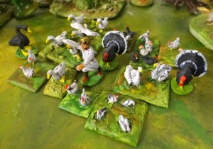 Volailles un peu plus visibles (25 mm du Mirliton entre autres)