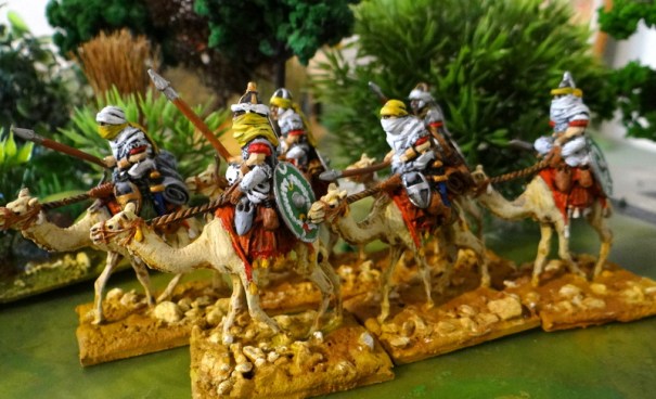 L'équipement porté par les dromadaires est très sympa.